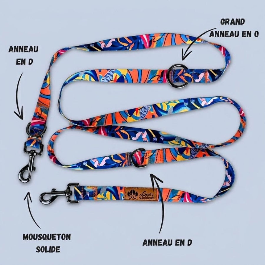 Laisse multiposition ornée de motifs colorés jaunes, bleus et oranges, équipée de deux grands anneaux en D, d'un anneau en O, ainsi que de deux mousquetons