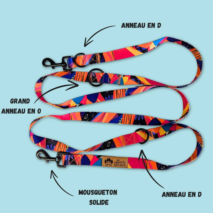 caracteristiques-laisse-multiposition-pour-chien-panache
