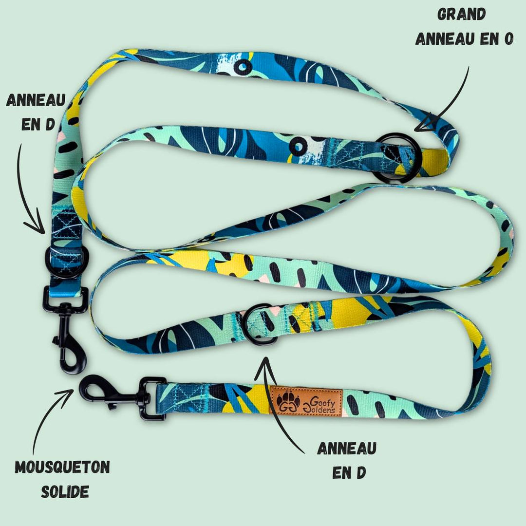 Laisse multiposition de la marque Goofy Goldens aux couleurs jaune, vert et bleu ,équipée de deux grands anneaux en D, d'un anneau en O, ainsi que de deux mousquetons.