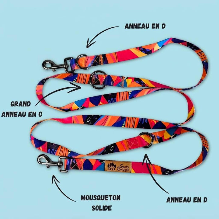 caracteristiques-laisse-multiposition-pour-chien-panache