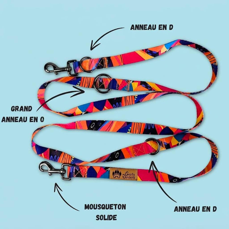 caracteristiques-laisse-multiposition-pour-chien-panache