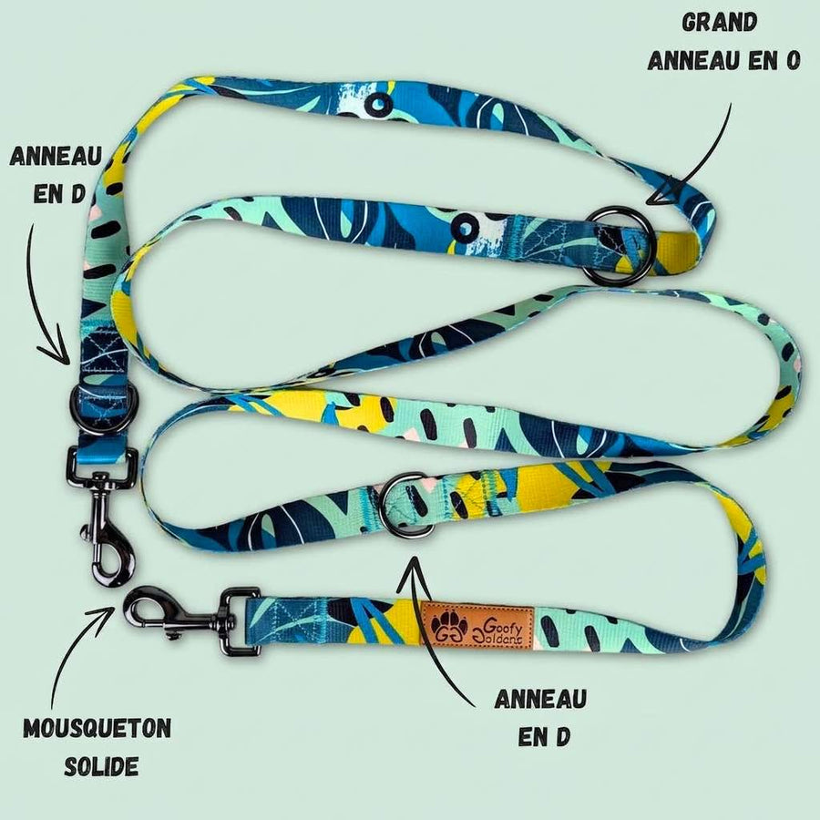 Laisse multiposition de la marque Goofy Goldens aux couleurs jaune, vert et bleu ,équipée de deux grands anneaux en D, d'un anneau en O, ainsi que de deux mousquetons.