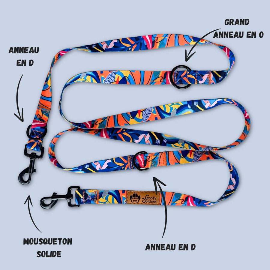 Laisse multiposition ornée de motifs colorés jaunes, bleus et oranges, équipée de deux grands anneaux en D, d'un anneau en O, ainsi que de deux mousquetons