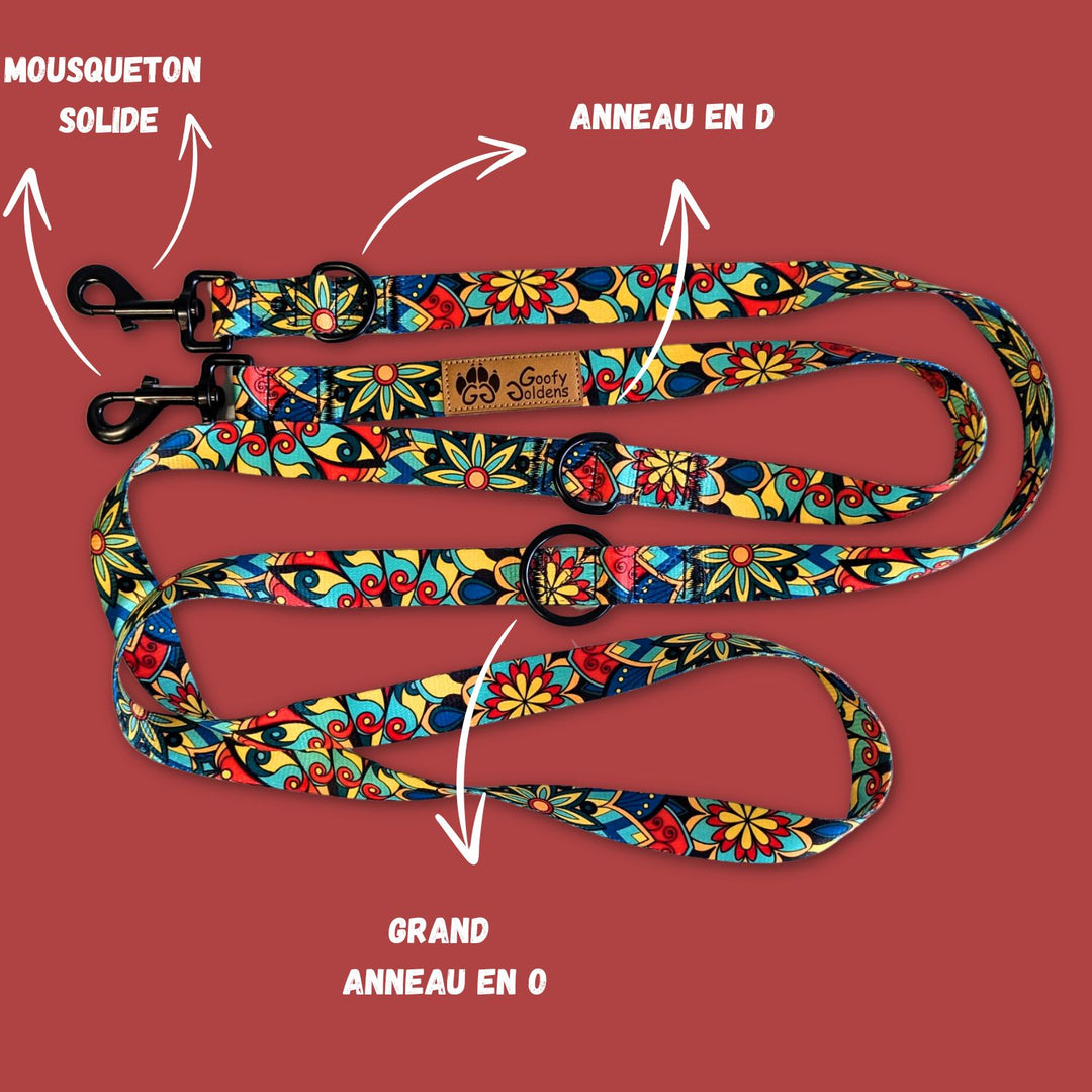 Laisse multiposition de la marque Goofy Goldens aux couleurs vertes, rouges, jaunes et bleues,équipée de deux grands anneaux en D, d'un anneau en O, ainsi que de deux mousquetons.