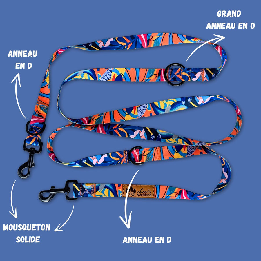 Laisse multiposition ornée de motifs colorés jaunes, bleus et oranges, équipée de deux grands anneaux en D, d'un anneau en O, ainsi que de deux mousquetons
