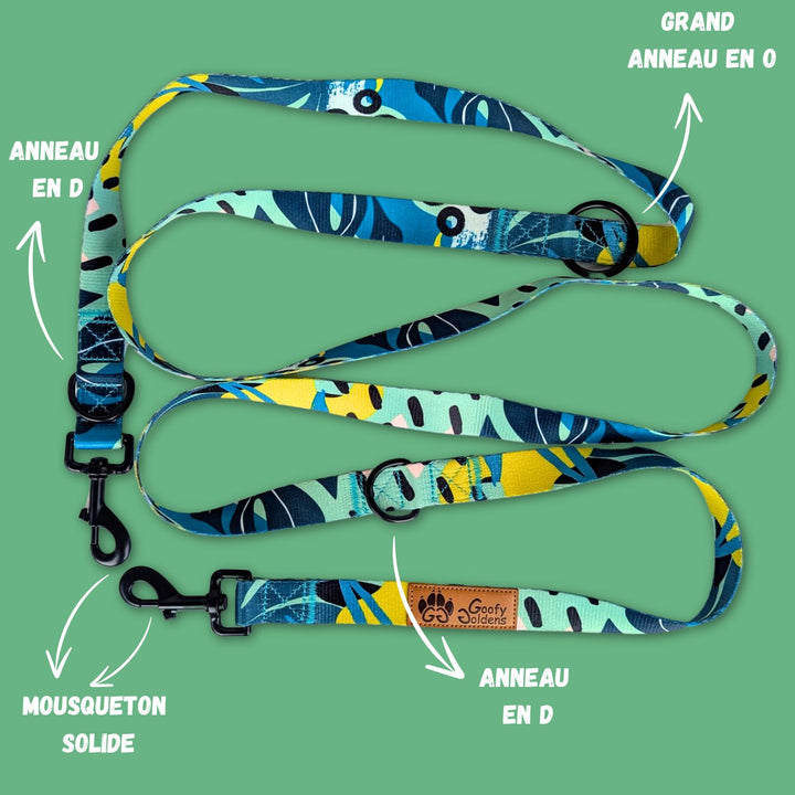 Laisse multiposition de la marque Goofy Goldens aux couleurs jaune, vert et bleu ,équipée de deux grands anneaux en D, d'un anneau en O, ainsi que de deux mousquetons.