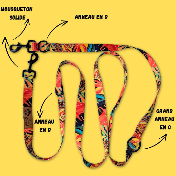 Laisse multiposition de la gamme Tropical, équipée de deux grands anneaux en D, d'un anneau en O, ainsi que de deux mousquetons