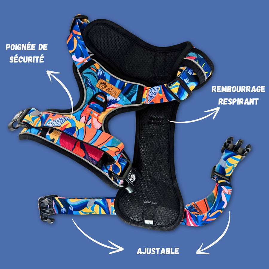 Harnais anti-traction de la collection Lagon ouvert. La photo permet de voir le rembourrage intérieur du harnais qui assure le confort du chien