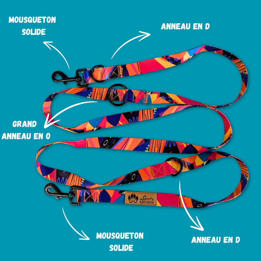 Laisse multiposition de la gamme Panache, équipée de deux grands anneaux en D, d'un anneau en O, ainsi que de deux mousquetons.