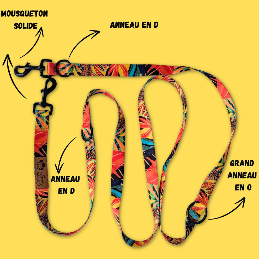 Laisse multiposition de la gamme Tropical, équipée de deux grands anneaux en D, d'un anneau en O, ainsi que de deux mousquetons