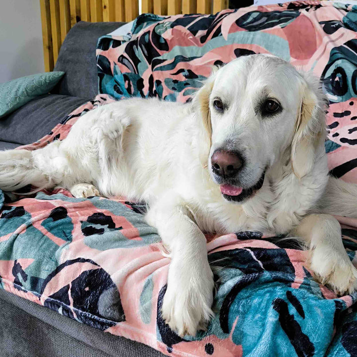 Un chien blanc à l’air joyeux est couché sur un canapé, confortablement installé avec un plaid Savane.