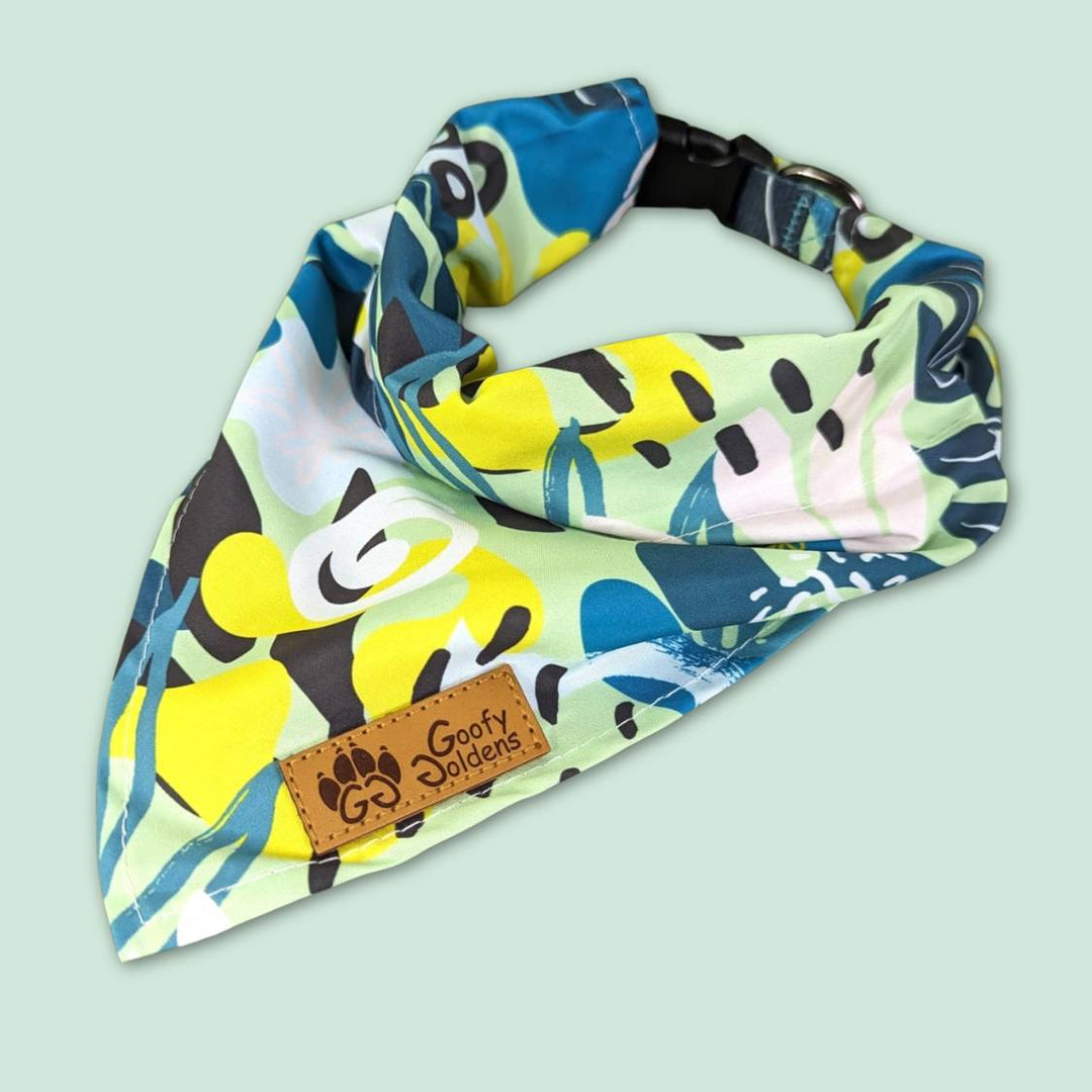 Coller bandana Récif présenté fermé . on distingue ici les superbes motifs et couleurs noir, jaune, vert et turquoise. 