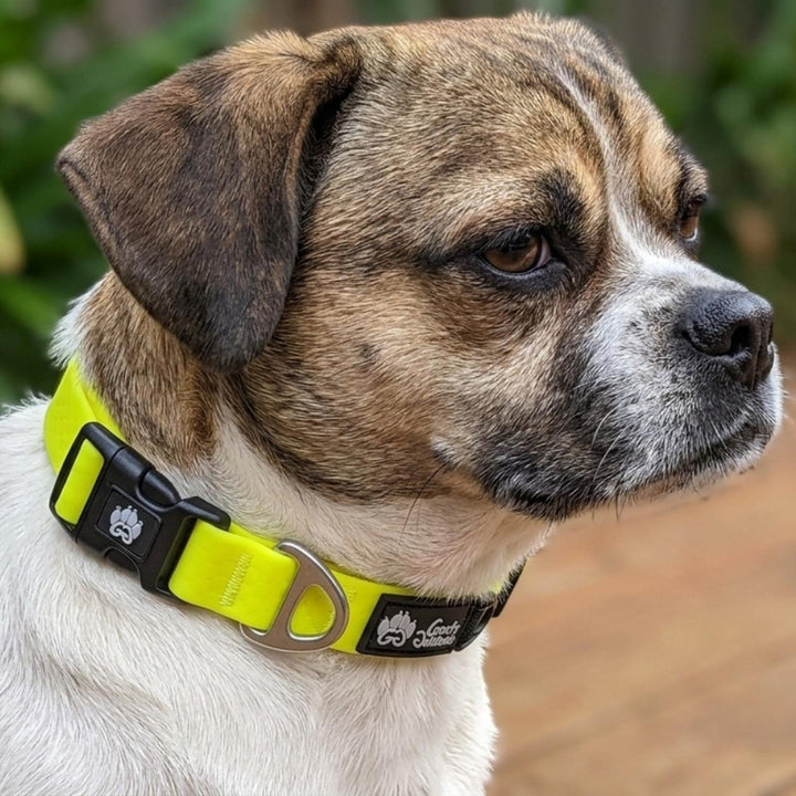 Collier imperméable Jaune fluo