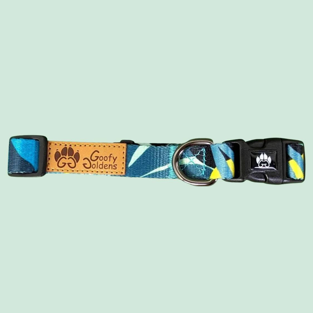 Collier chien coloré et original Récif, montré plié pour distinguer la boucle, l’anneau et la marque Goofy Goldens.