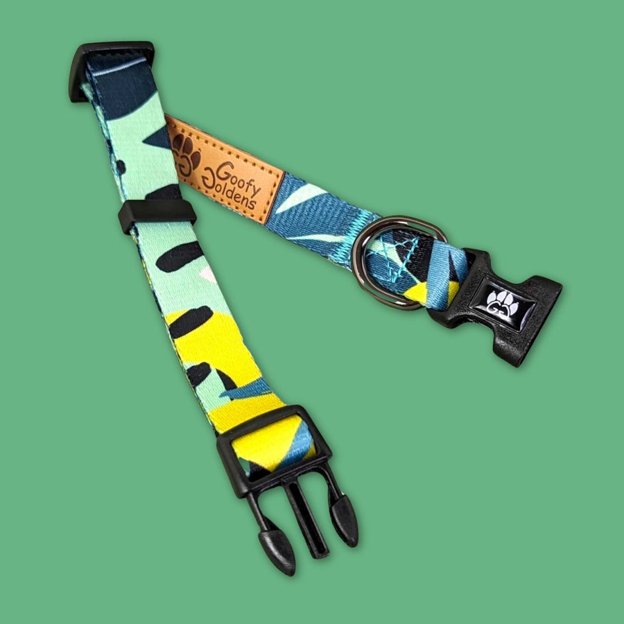 Collier léger et solide pour chien de la marque Goofy Goldens, collection Récif. Présenté ouvert et à plat pour distinguer les motifs colorés. 