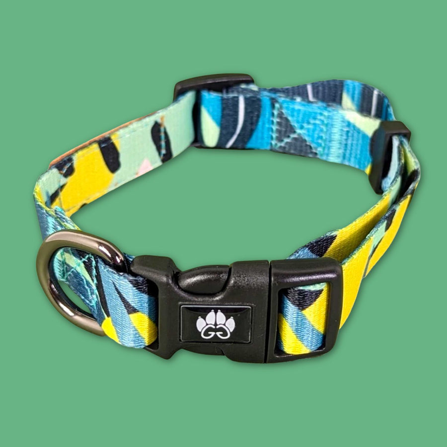 Collier chien tendance de la collection récif de chez Goofy Goldens , un collier aux motifs bleus, verts, jaunes et noirs. 