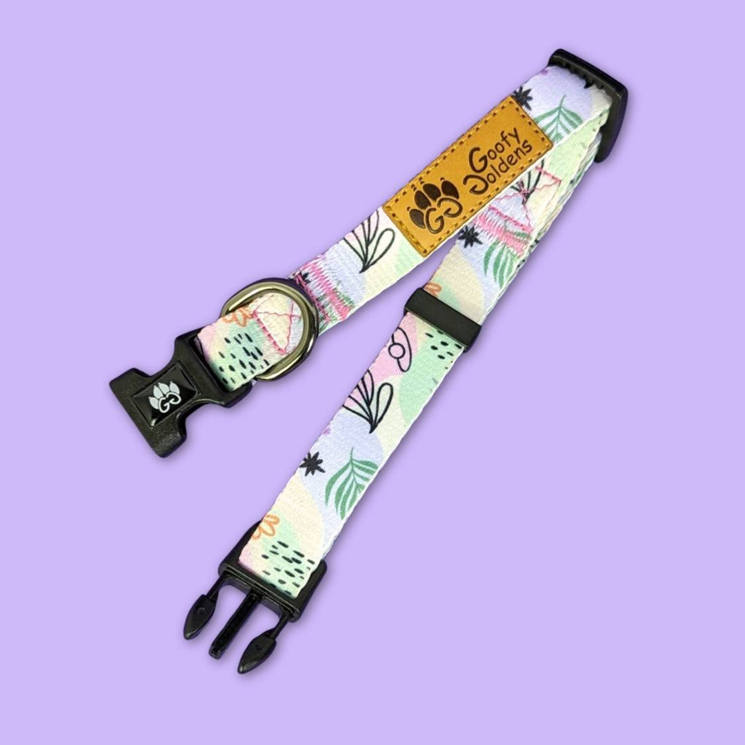 Collier original et coloré pour chien Pastel de la marque Goofy Goldens. Collier représenté ici plié et de côté pour distinguer boucle, anneau et marque Goofy Goldens
