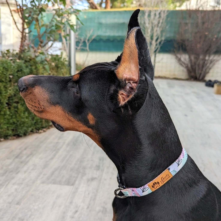 Collier chien Pastel aux couleurs bleu vert et rose pastel porté par un doberman noir. Taille M sur la photo