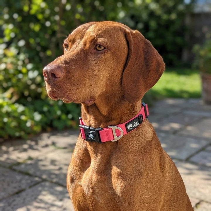 Collier imperméable Rose fluo