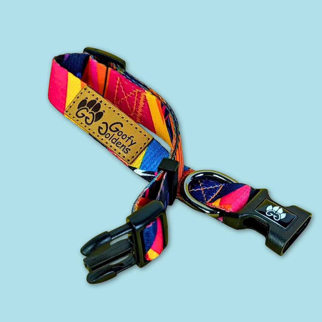 Collier pour chien coloré de la collection Panache de chez Goofy goldens. présenté ici ouvert pour voir les détails des motifs