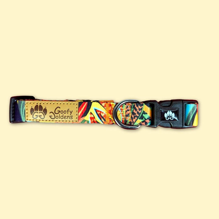 Joli collier chien coloré de la marque Goofy Goldens. Un must have pour votre toutou. Présneté ici sur la photo plié et à plat. 