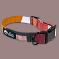 Dog collar Fall