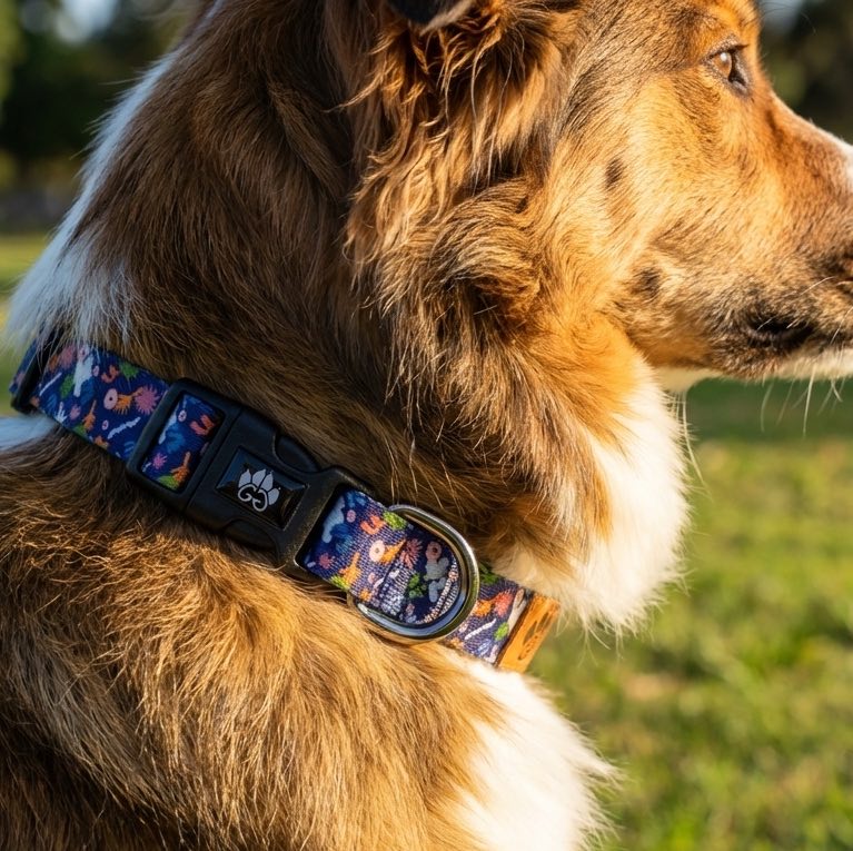 Collier pour chien Deep agua