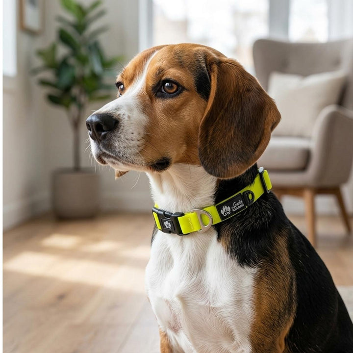 Collier imperméable Jaune fluo
