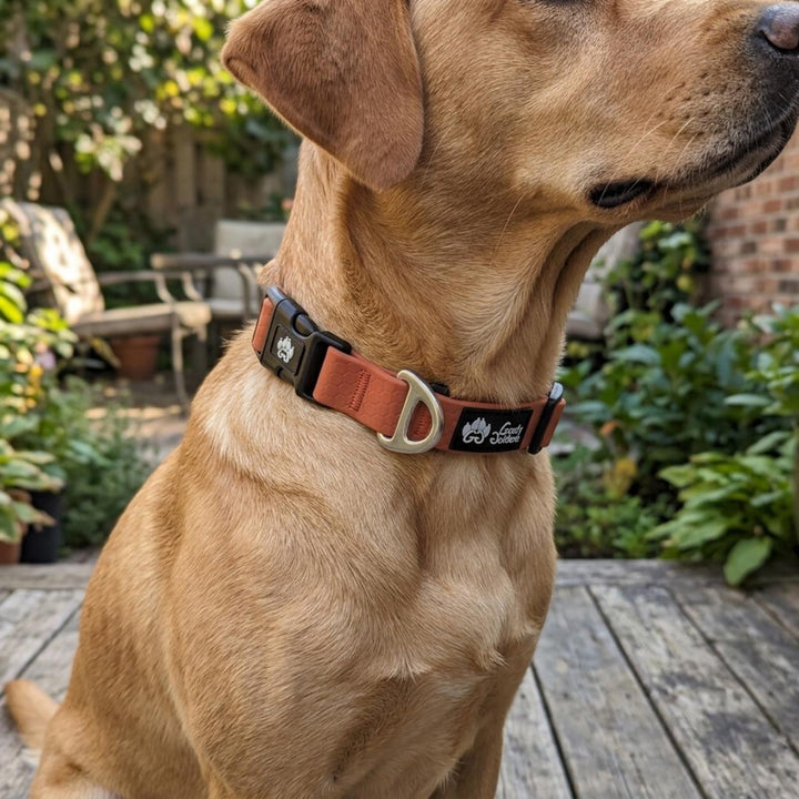 Collier imperméable Ocre