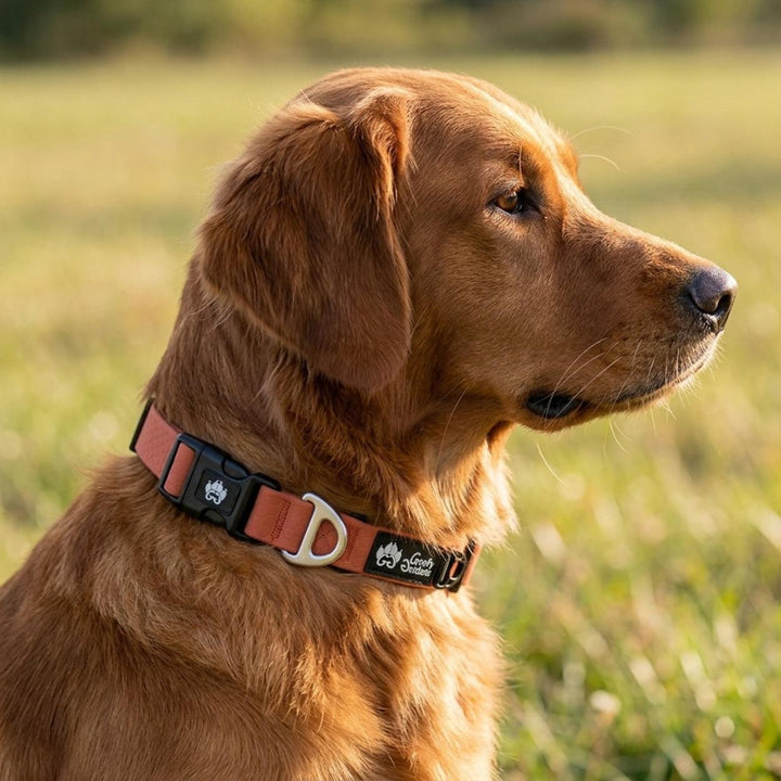 Collier imperméable Ocre