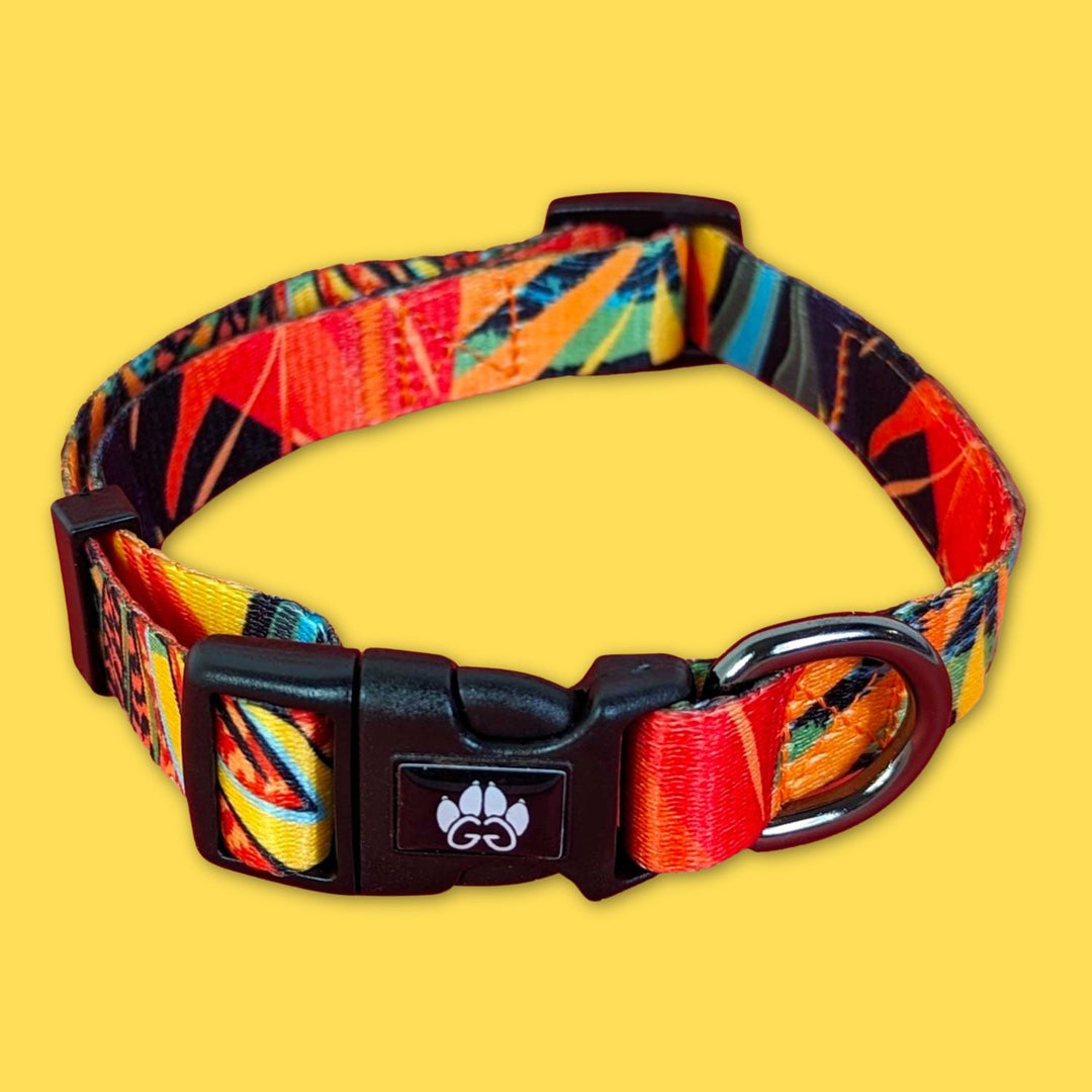 Très joli collier pour chien de la collection Tropical de chez Goofy Goldens. Un collier mélangeant vert orange rouge et jaune pour un cocktail de couleur splendide