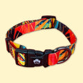 Dog collar Tropical