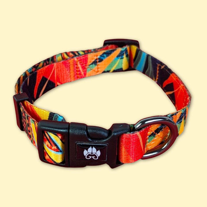 Très joli collier pour chien de la collection Tropical de chez Goofy Goldens. Un collier mélangeant vert orange rouge et jaune pour un cocktail de couleur splendide