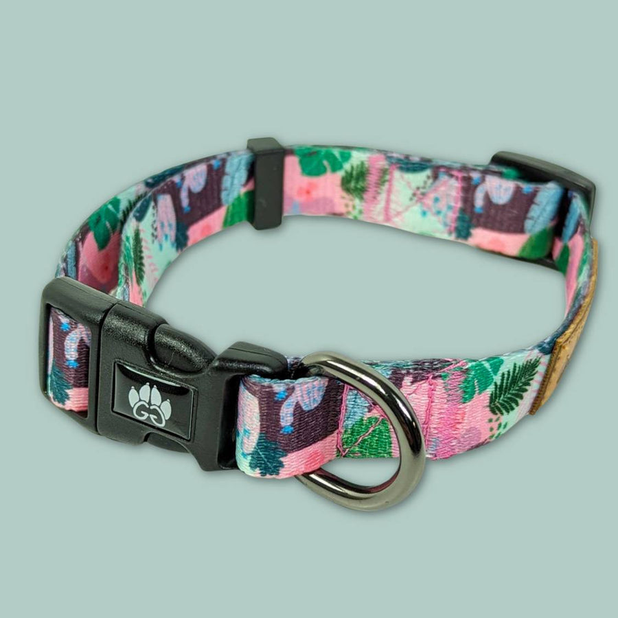 Collier pour chien Goofy Goldens de la Gamme Cactus aux motifs cactus sur fond rose et vert. Boucle et anneau solides sont mis en avant sur la photo