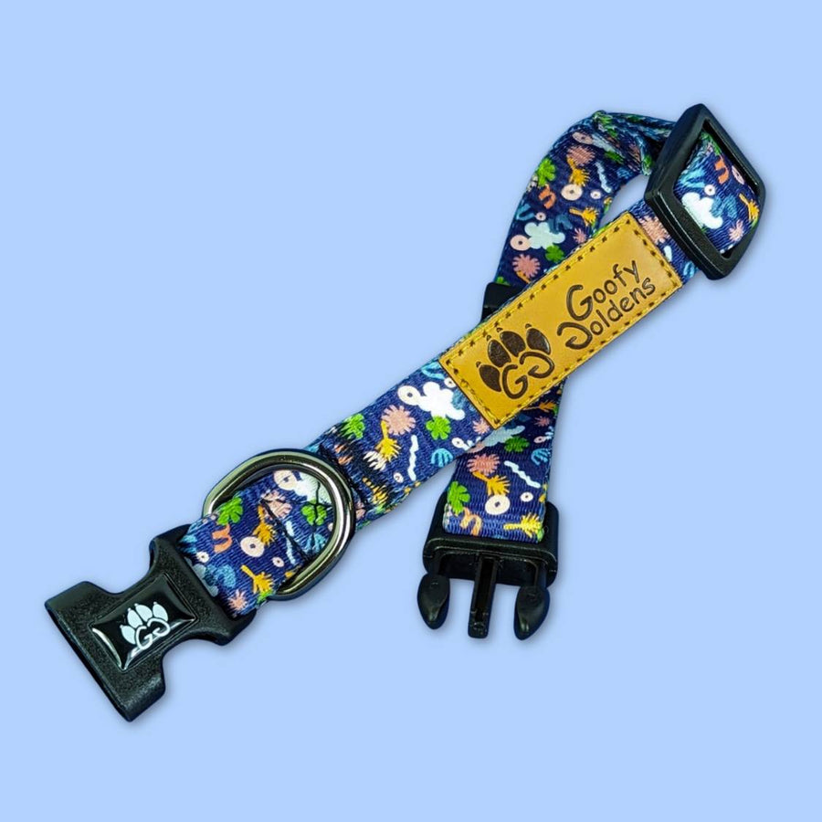 Collier Deep Agua de chez Goofy Goldens ouvert et dépliéavec la marque, la boucle et l'anneau mis en avant