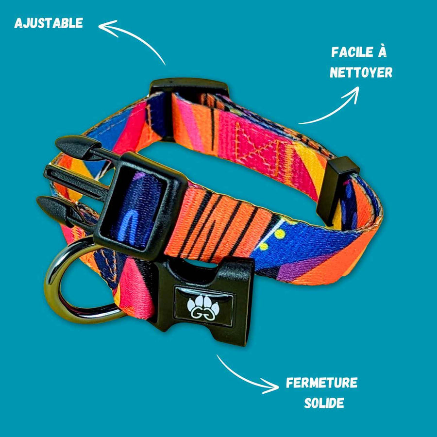 Caractéristiques du collier pour chien de la collection Panache. C'est un collier original ajustable, facile à nettoyer et avec un fermeture solide