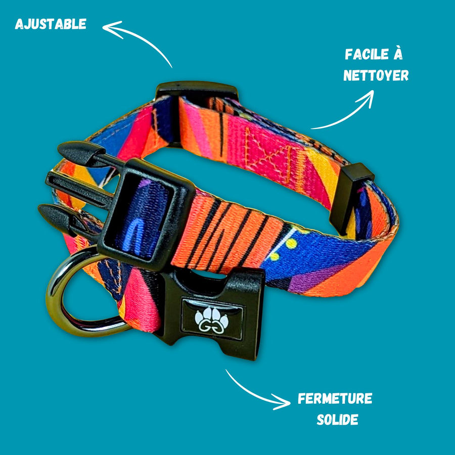 Collier pour chien original de la collection Panache. On voit ici le collier avec la boucle de fermeture ouverte