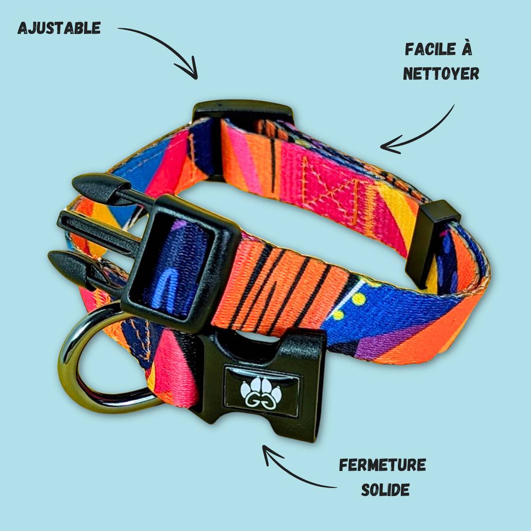 Caractéristiques du collier pour chien de la collection Panache. C'est un collier original ajustable, facile à nettoyer et avec un fermeture solide