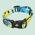 Collier pour chien Récif