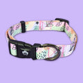 Collier pour chien Pastel