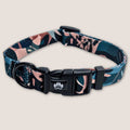 Savannah Dog Collar
