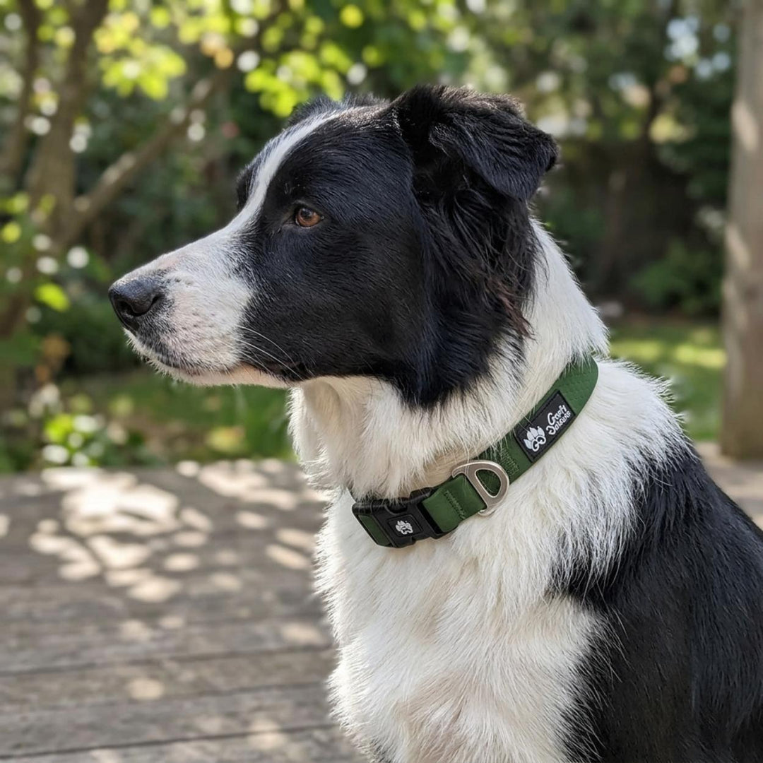Collier imperméable Vert kaki