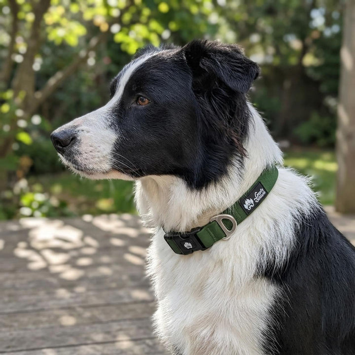 Collier imperméable Vert kaki