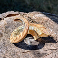 Corne de mouton