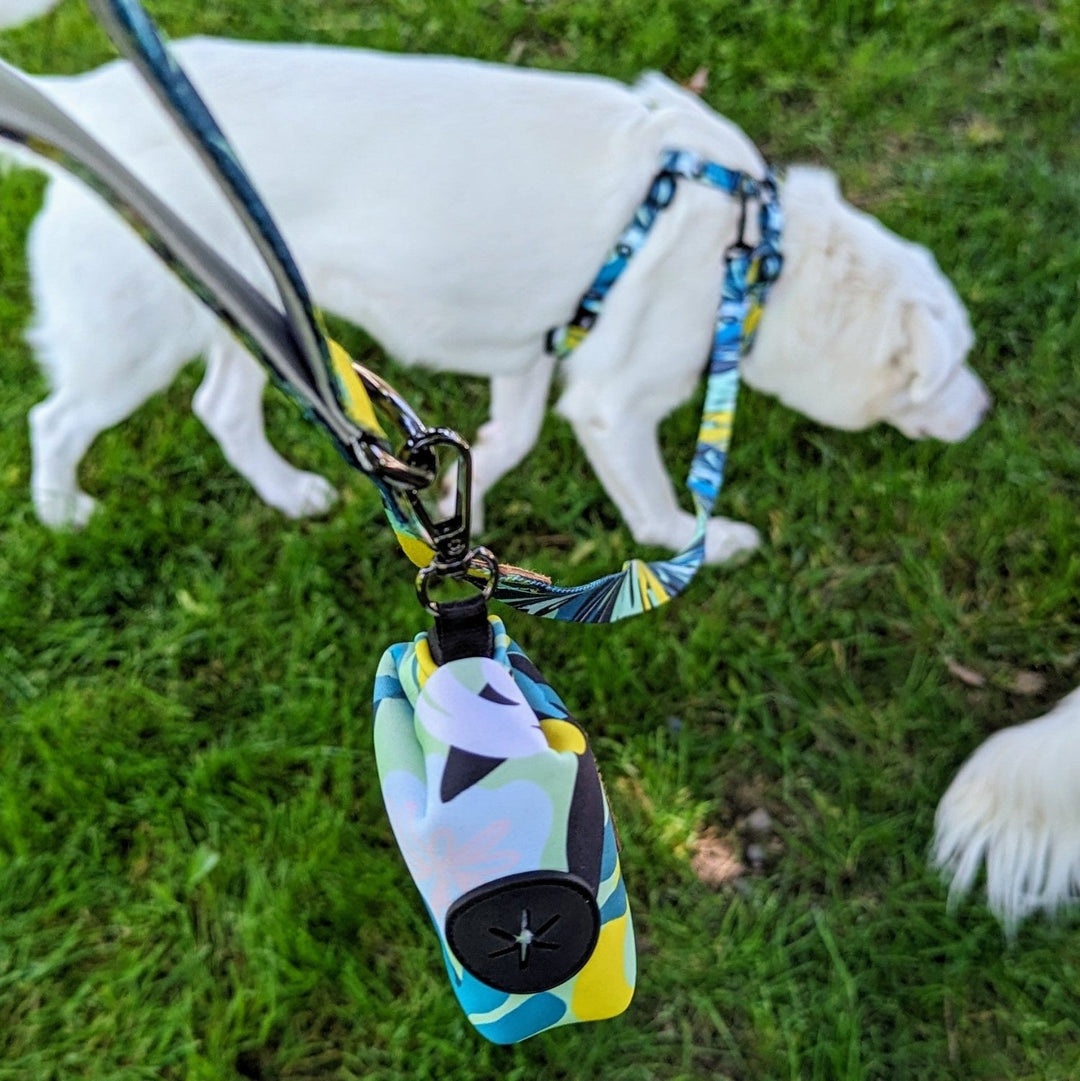 Photo d'un chien blanc en arrière plan portant un harnais classique Récif. Accroché à celui ci, la laisse et le distributeur de sac à cacas de la même collection.