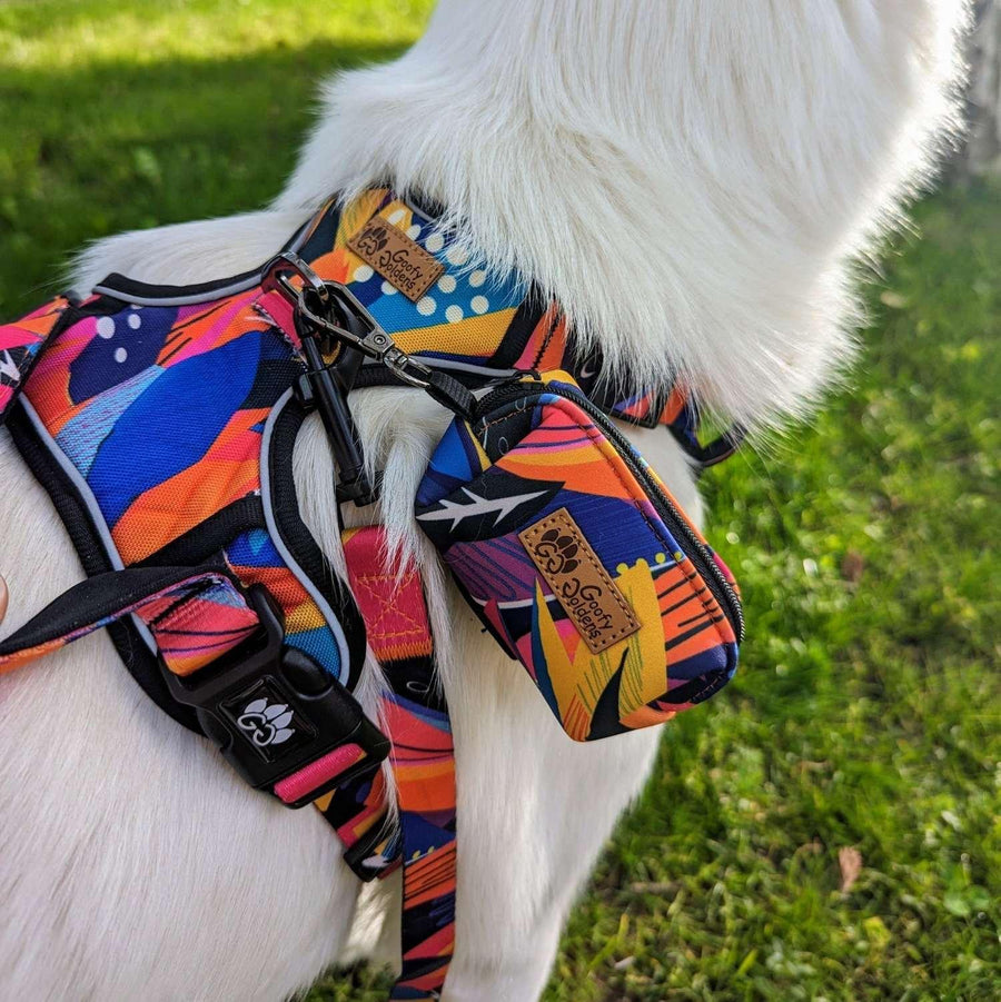 Zoom sur le distributeur de sacs à crottes, accrochés au harnais anti-traction aux couleurs vives orange, violet et jaune portés par un chien blanc.