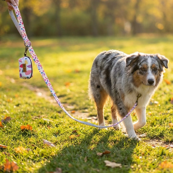 Pochette friandises/sac à cacas Pétales