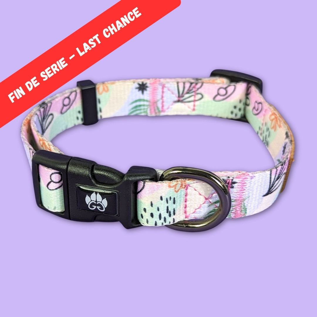 Collier pour chien Pastel