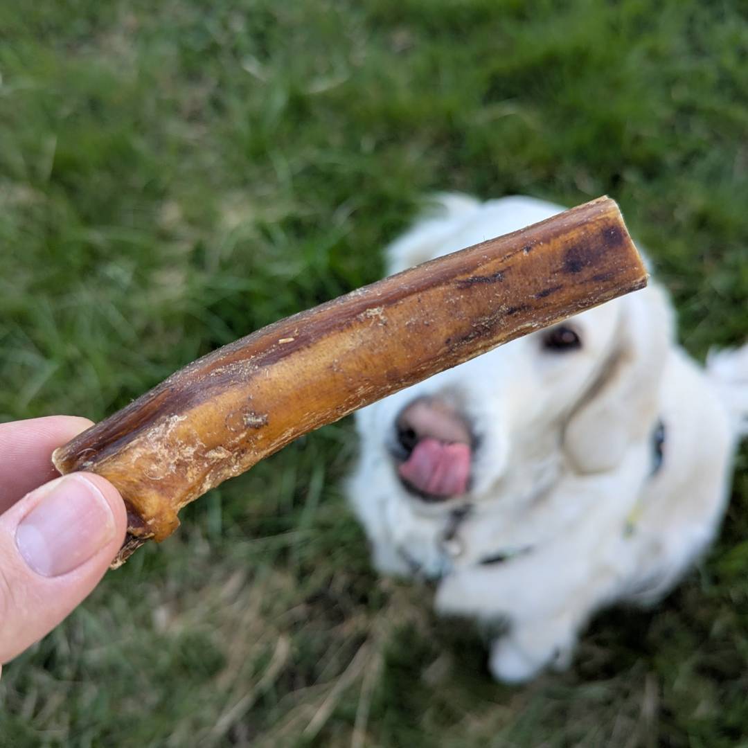 Nerf de boeuf naturel x2