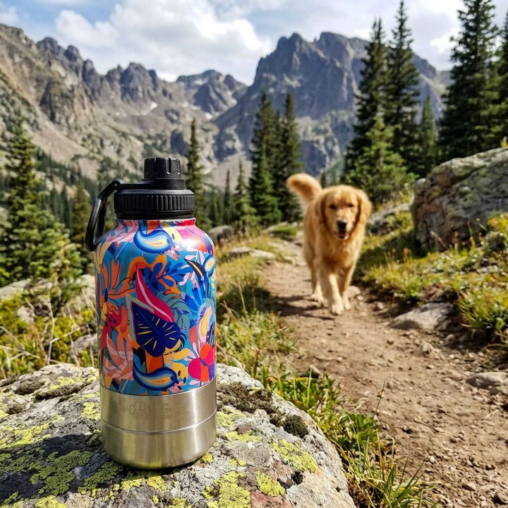 On distingue, en arrière-plan, un labrador qui marche en montagne vers une gourde 3-en-1 Lagon placée sur un rocher.